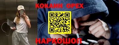 Альфа ПВП Малгобек