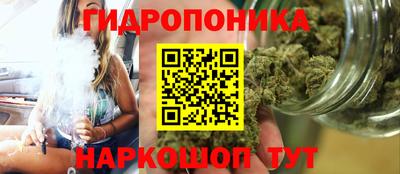 Альфа ПВП Малгобек