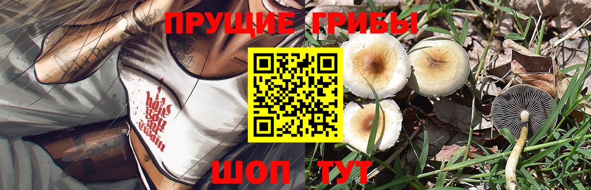 Псилоцибиновые грибы GOLDEN TEACHER Таганрог