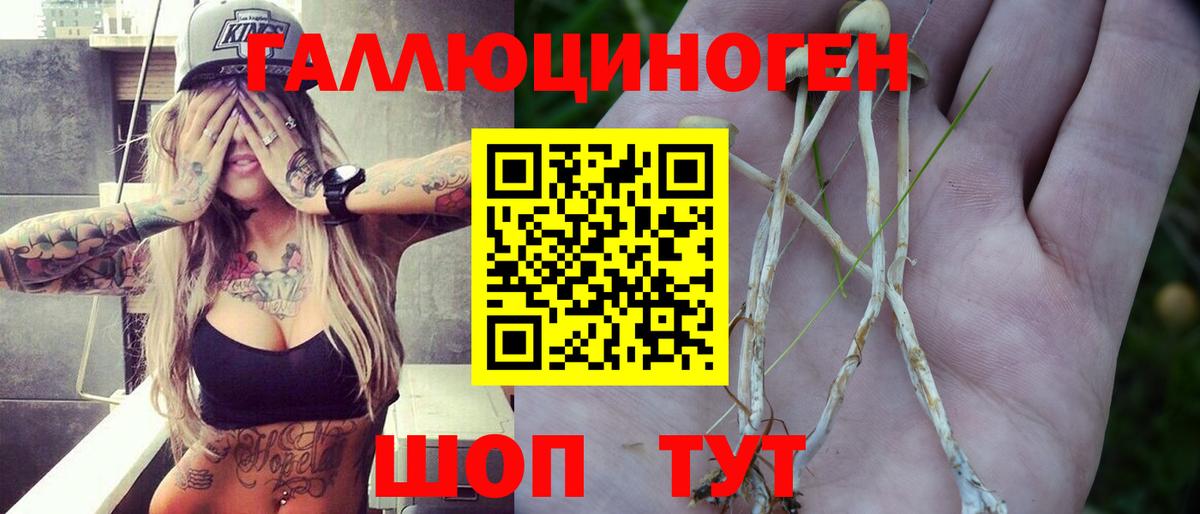 Галлюциногенные грибы Magic Shrooms  Галлюциногенные грибы Cubensis  Вход с VPN  Таганрог 